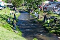 Families Trout Fishing